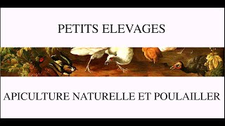 petits élévages  apiculture naturelle et poulailler [upl. by Kask]