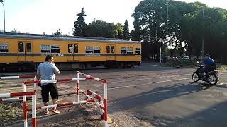 Tren Urquiza en Federico Lacroze [upl. by Eanerb582]