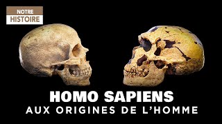 A la recherche de nos origines  Homo Sapiens ancêtre de lHomme  Documentaire Archéologie  CTB [upl. by Ahnavas384]