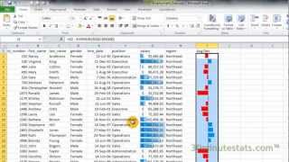 Excel 2010  Conditional Formatting  Data Bars [upl. by Eiuqnimod935]