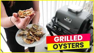 Quick and Easy Grilled Oyster Recipe  Ninja Wood Fired Outdoor Grill Recipes [upl. by Archle]