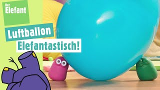 elefantastisch  Die Mini Boings und der Luftballon amp Lied Fünf kleine Fische  Der Elefant  WDR [upl. by Noby]