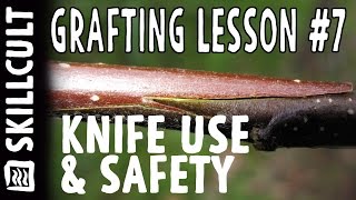 Grafting Series Lesson 7 Knife Use and Safety [upl. by Jevon]