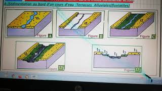 SVT 1ABioF les conditions de la sédimentation dans le milieu continental [upl. by Leanora]