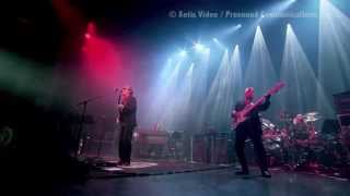 Carmine Rojas Performances from Joe Bonamassas quotTour de Force Tourquot DVDS [upl. by Aislehc]