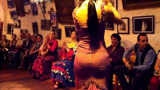 Flamenco Dance by Spanish Gypsies Part 2 [upl. by Rostand43]