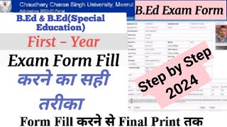 How to Fill CCS University BEd First Year Exam Form 2024  CCSU 1Year BEd exam form fill up [upl. by Rinee]