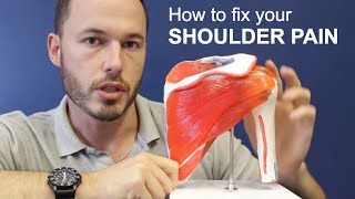 Understanding Shoulder Pain and How To Fix It [upl. by Wie]