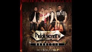 Adolescents Orquesta  Una Simple Canción Audio Oficial [upl. by Azrim87]