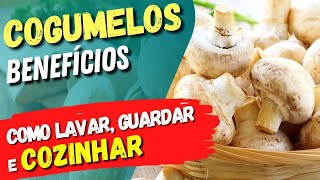 Benefícios dos COGUMELOS  Tipos Como Lavar Guardar e Cozinhar  Dicas e Cuidados [upl. by Nanek872]