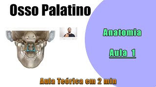 Osso Palatino  Teórica Aula 1  Anatomia  Anatomia Humana [upl. by Nwahsit316]