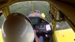 Crop Dusting in an Air Tractor 301 [upl. by Willa312]