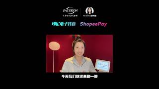 ShopeePay  Local Payment in Indonesia 一分钟了解ShopeePay  东南亚领航的电子钱包 [upl. by Eicats]