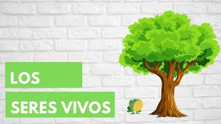 LOS SERES VIVOS 🌳🐣 Características en común  Resumen para niños [upl. by Edmond3]