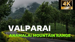 Valparai  Travel to Valparai through Athirappalli malakkapara forest route  4K  2024 [upl. by Nehgem458]