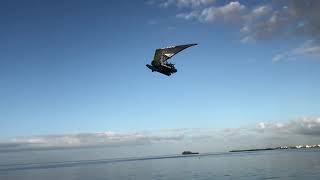 Flight on a Cygnet Amphibious Light Sport Aircraft [upl. by Feola]