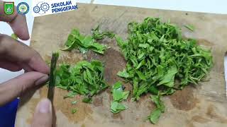 Pembuatan teh herbal dari daun mangrove xylocarpus granatum [upl. by Lasyrc]