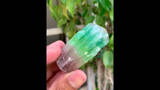 Stunning Bicolor TourmalineCrystal  PaprokTourmaline  TourmalineSpecimen [upl. by Einitsed]