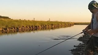 PESCA DE TARARIRAS CON SEÑUELOS EN BRANDSEN [upl. by Eilsehc]