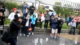 Cutest Flash Mob Proposal Ever When He Starts to Dance Youll Cry [upl. by Beall981]