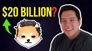 DOGELON MARS  20 BILLION MARKET CAP POSSIBLE  Bull Run Price Prediction [upl. by Abra]