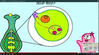 Plant Reproduction Amoeba Sisters WS 12 11 14 [upl. by Det]