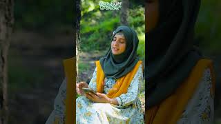 Bazam e Naat Sajai  Rabi ul Awal Kalam  By Aman Aftab Studio 🎙️ In studioin poetry bestnaat [upl. by Yrekcaz660]