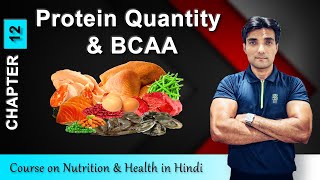 Free Course on Nutrition amp Health in Hindi Protein Quantity amp BCAA  Chapter 12 [upl. by Naimaj]