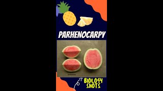 Parthenocarpy  seedless fruits  biologyshorts  shorts [upl. by Froehlich]