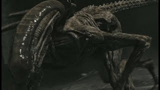 alien covenant all xenomorph scenes [upl. by Slen]