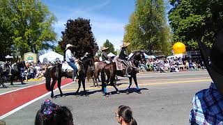 Wenatchee Wa apple blossom 2019 [upl. by Bakerman221]