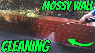 CLEANING A MOSSY WALL [upl. by Annaitat]