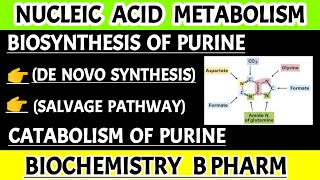 Biosynthesis of purine nucleotides De novo synthesis and salvage pathway Catabolism of purine [upl. by Ettelrats]