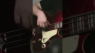 Adding compression to your octave pedal bass sound [upl. by Etram]