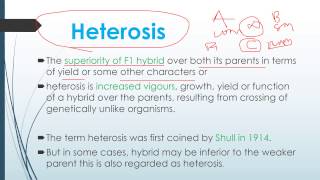 Heterosis and Theories of Heterosis [upl. by Bina]