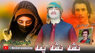 Pashto New Songs 2023  Nashah Nasha Yema  Nosherwan Ashna Songs  Pashto Songs 2023 [upl. by Ecineg900]