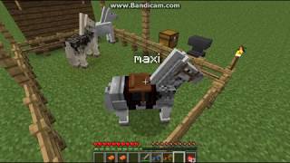 como ponerle nombre a tu caballo en minecraft killer [upl. by Abey]