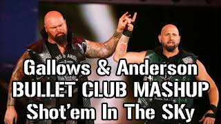 WWENJPW Mashup Gallows and Anderson amp Bullet Club  Shotem in the Sky by marquez768 [upl. by Aneertak]