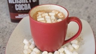 Best Homemade Hot Chocolate Recipe [upl. by Edythe]