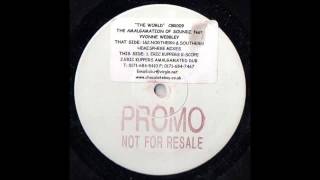 1999 The Amalgamation Of Soundz feat Yvonne Webbley  The World Eric Kupper Amalgamated Dub RMX [upl. by Seavey72]