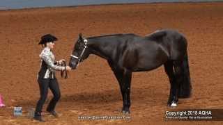 A Judges Perspective 2015 AQHYA Showmanship World Champion [upl. by Marrissa]