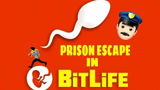 HOW TO ESCAPE EVERY PRISON IN BITLIFE EASIEST WAYS TO ESCAPE EVERY PRISON [upl. by Aileahcim674]