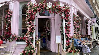 Belgravia in Bloom 2024 Londons mustsee free floral festival 2024年伦敦贝尔格莱维亚花开节，伦敦必看的免费花卉节 [upl. by Assilym]