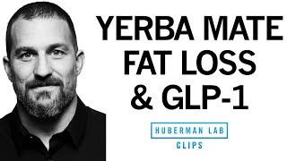 What is GLP1 amp How Does It Reduce Appetite amp Promote Weight Loss  Dr Andrew Huberman [upl. by Rochus]