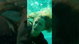 The Shallows Movie Clip Sharks theshallows shark sharkfilms movieclip [upl. by Leanatan]