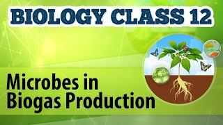 Microbes in Biogas Production  Microbes in Human Welfare  Biology Class 12 [upl. by Lecia516]