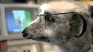 Compare The Meerkat  Dubstep [upl. by Sanders]