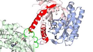 Adenylate cyclase activation with sound [upl. by Melda]