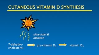 Vitamin D Sunshine Optimal Health Putting it all Together [upl. by Housum]