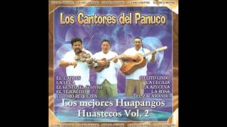 TRIO LOS CANTORES DEL PANUCO [upl. by Born]